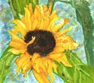 entitled 'Dusk Sunflowers' in watercolour.