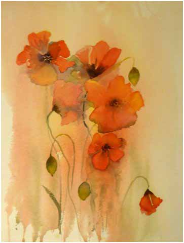 poppies in watercolour