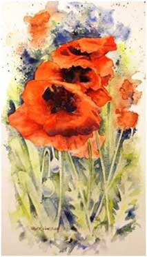 poppies in watercolour